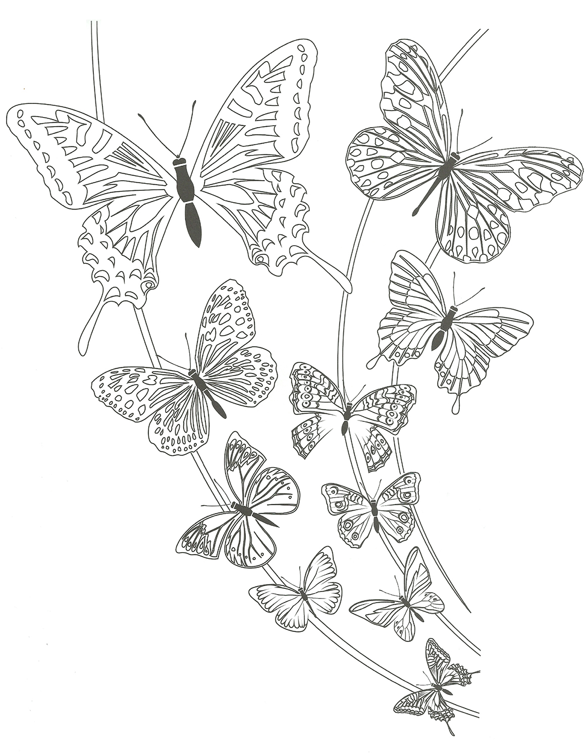 tatouage les papillons