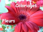 coloriages de fleurs