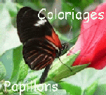 coloriages papillons