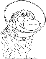 dug_le-chien.jpg
