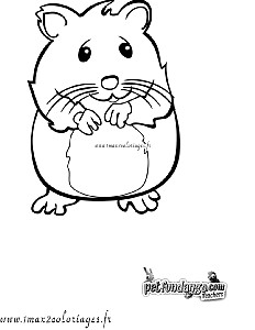 coloriage-hamster.jpg