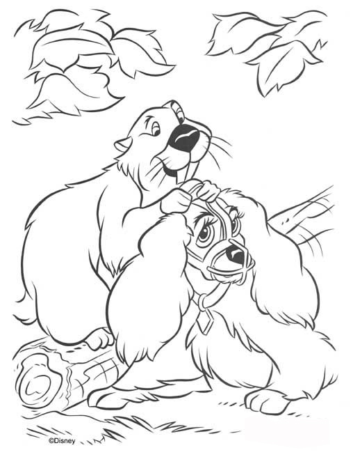 Coloriage la belle et le clochard lady et beaver
