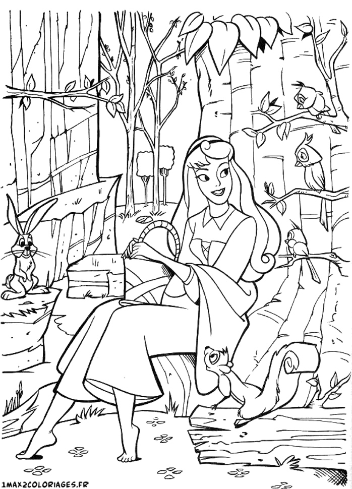 belle au bois dormant walt disney
