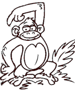 dessiner pas a pas le singe