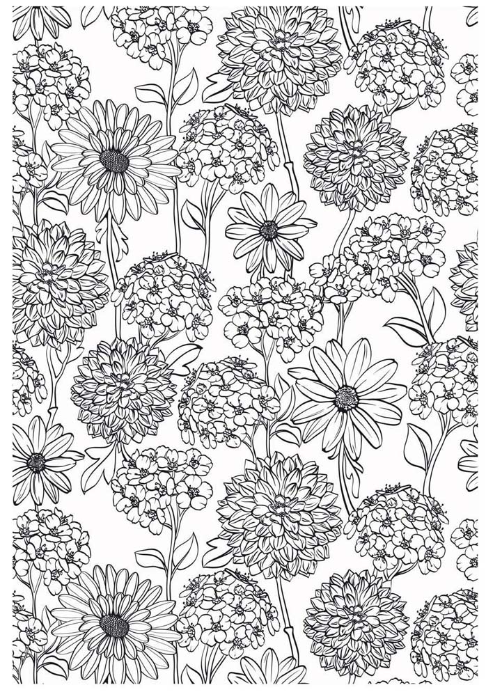 coloriage pour adulte anti-stress, Fleurs des champs a imprimer